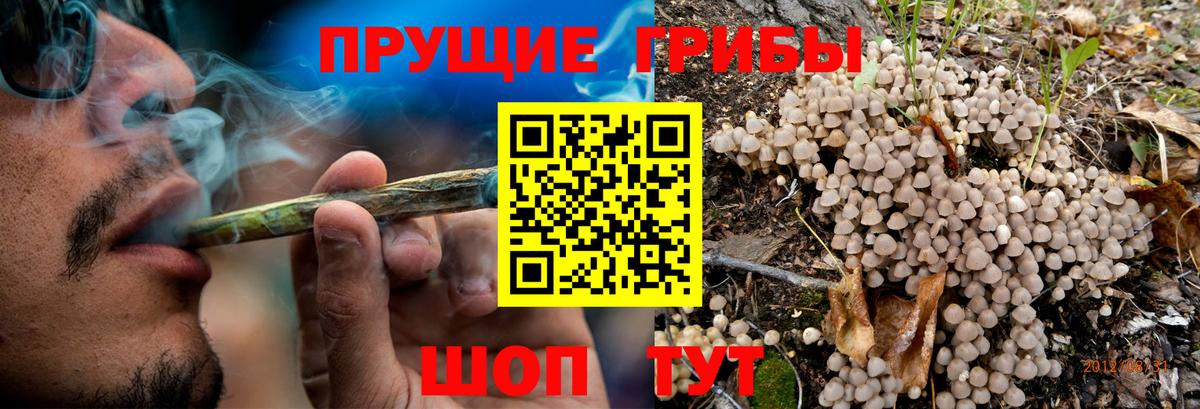 Галлюциногенные грибы Cubensis Кемерово